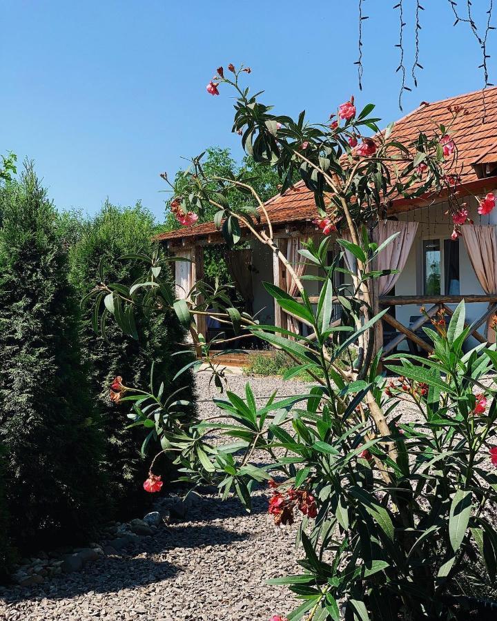 Villa Lukash Yanoshi 外观 照片